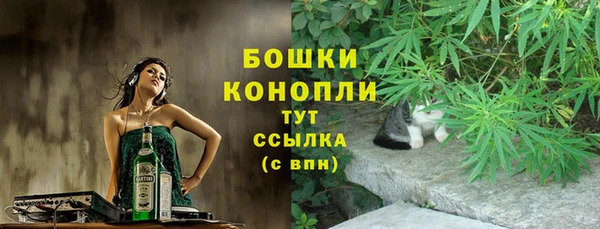 ПСИЛОЦИБИНОВЫЕ ГРИБЫ Богданович