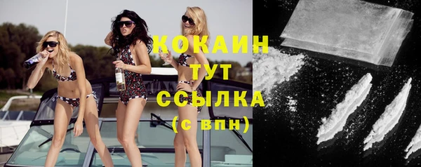 ПСИЛОЦИБИНОВЫЕ ГРИБЫ Богданович
