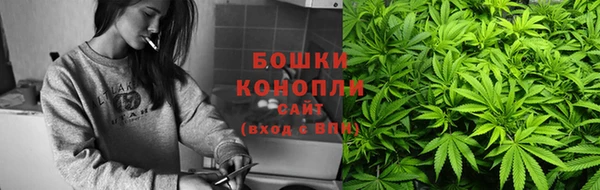 ПСИЛОЦИБИНОВЫЕ ГРИБЫ Богданович